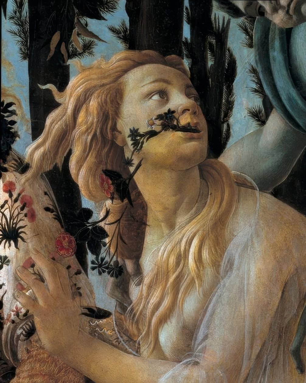 Jaro od Sandro Botticelli