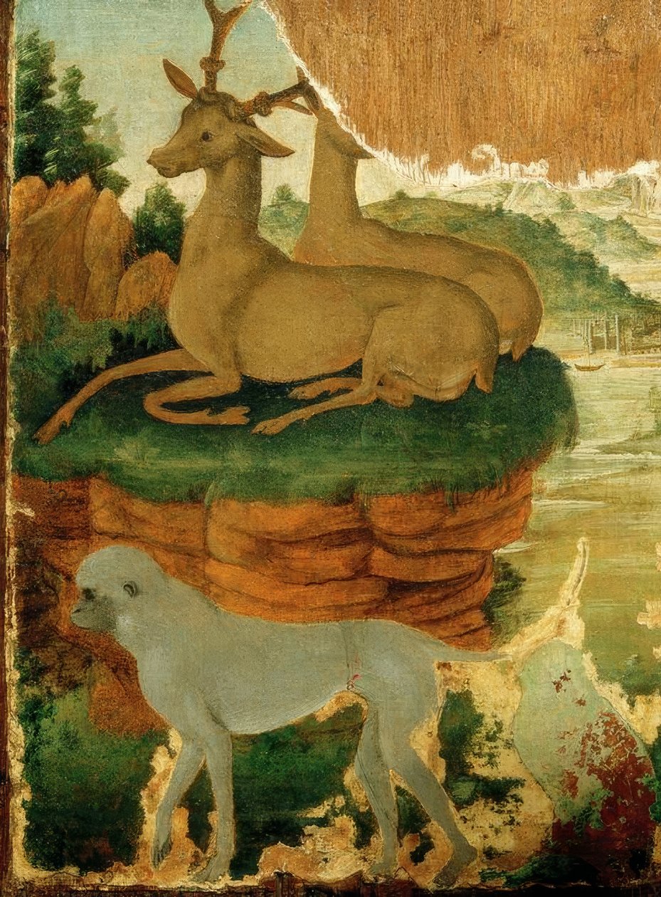 Krajina se srnci a opicemi od Sandro Botticelli