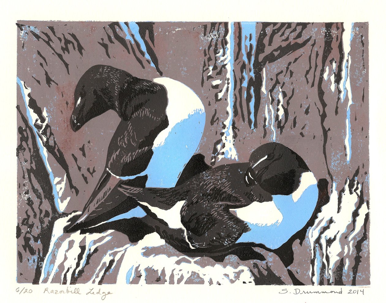 Razorbill Ledge, 2014 (linoryt) od Sarah Drummond