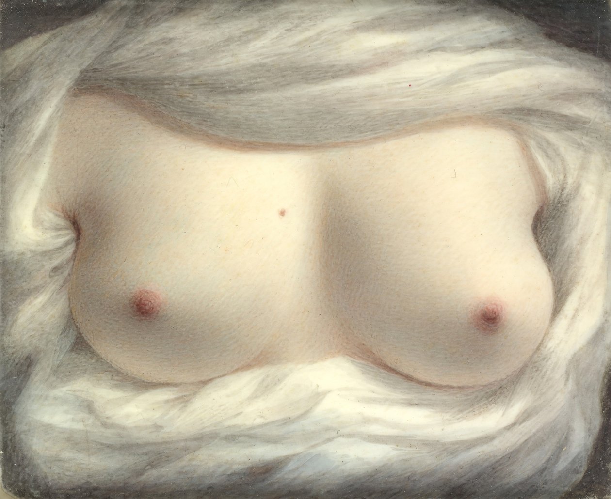 Krása odhalena, 1828. od Sarah Goodridge