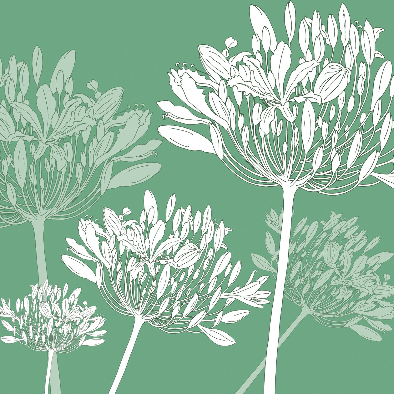 Agapanthus breeze, 2005 (digitální) od Sarah Hough