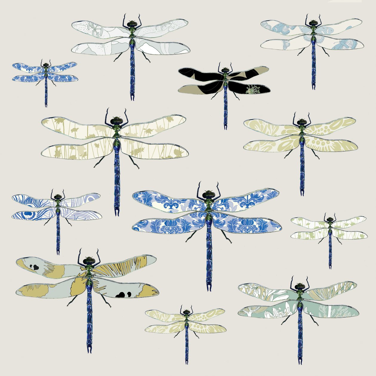 Odonata, 2008 (digitální) od Sarah Hough