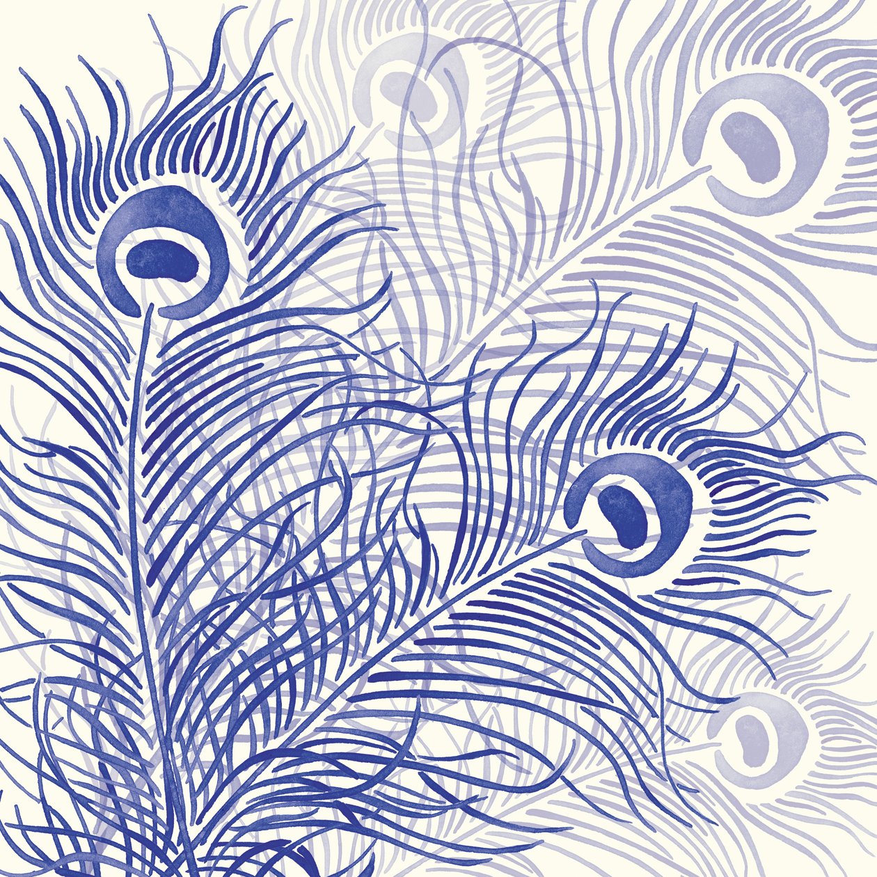 Peacock Parade, 2004 (digitální) od Sarah Hough