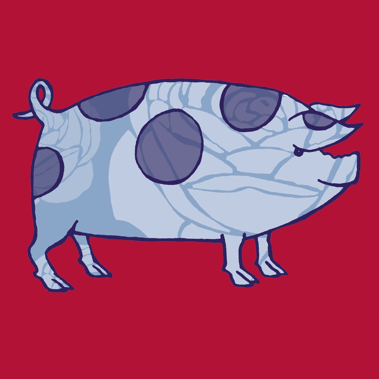 Piddle Valley Pig, 2005 (digitální) od Sarah Hough