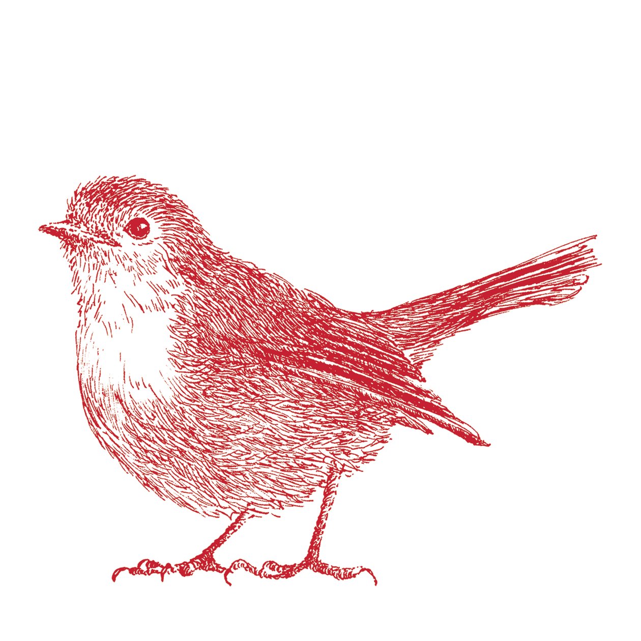 Robin, 2017 od Sarah Hough
