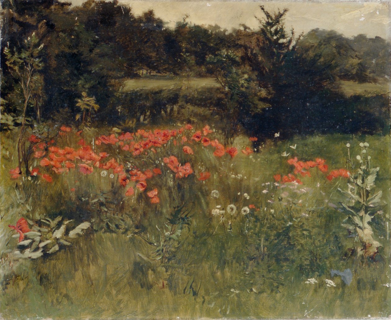 Poppies, Reigate od Sarah Paxton Ball Dodson