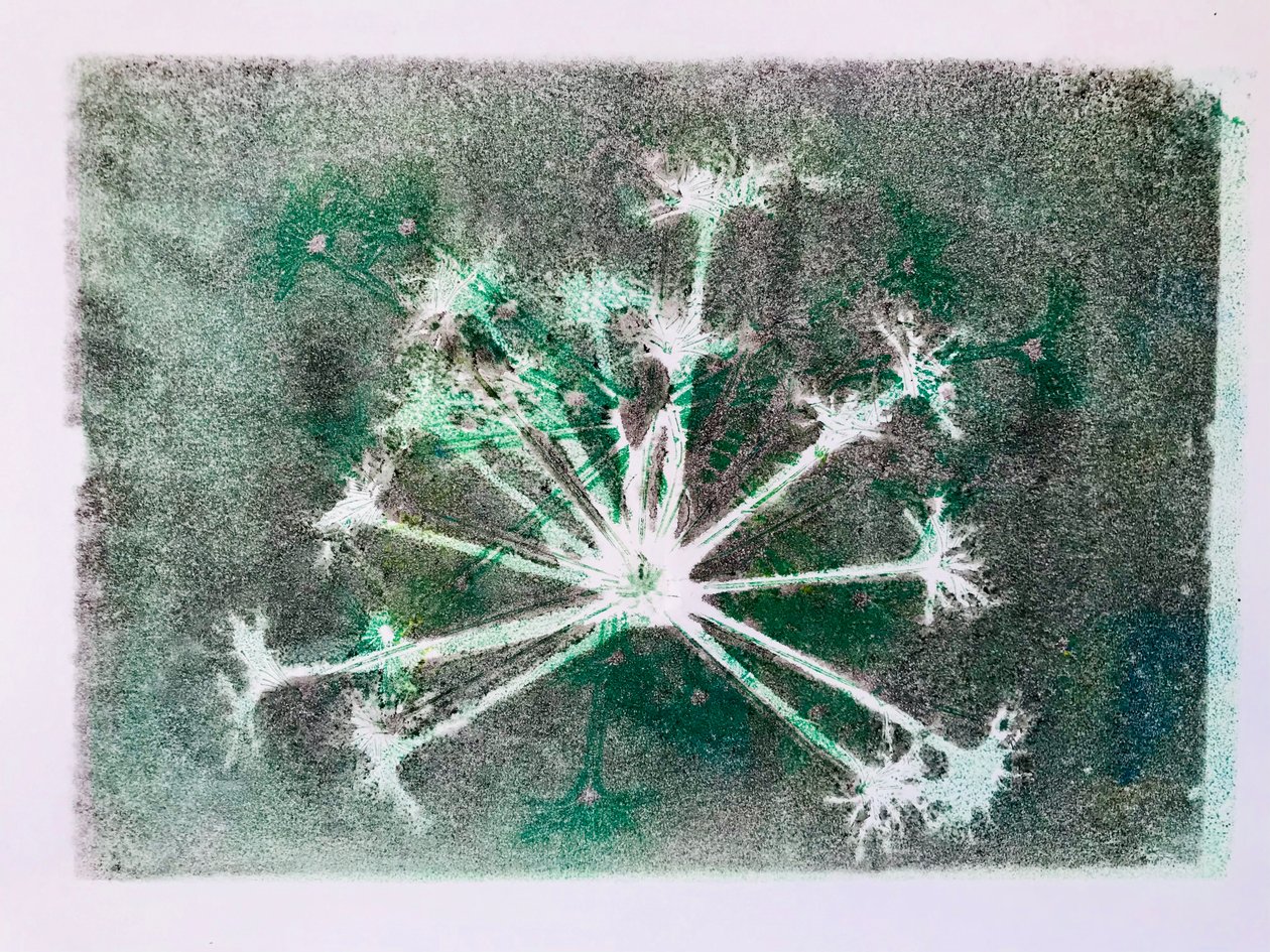 Seedhead I, 2020, (monotisk) od Sarah Thompson Engels