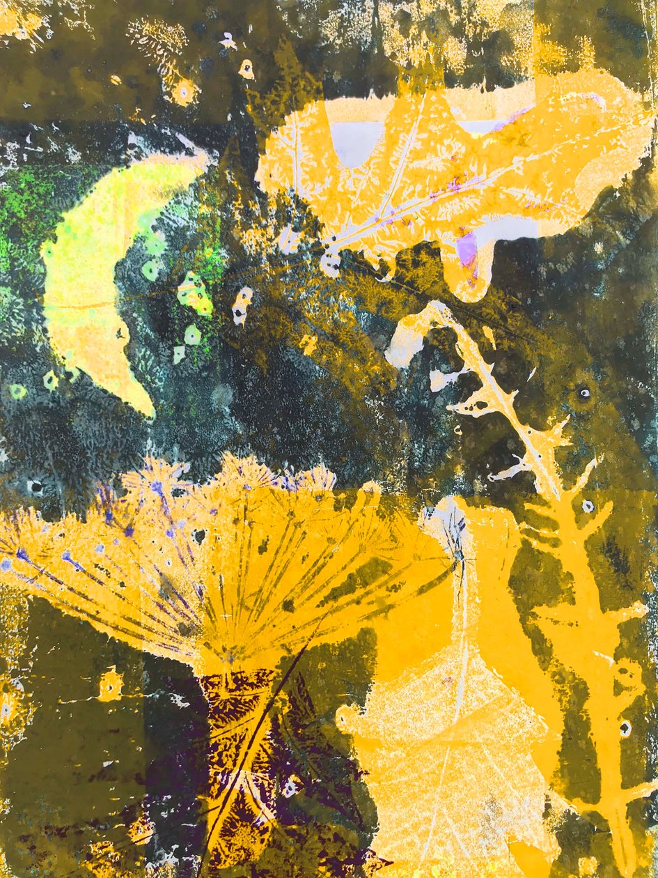 „žlutý měsíc“ 2019 (monotisk) od Sarah Thompson Engels