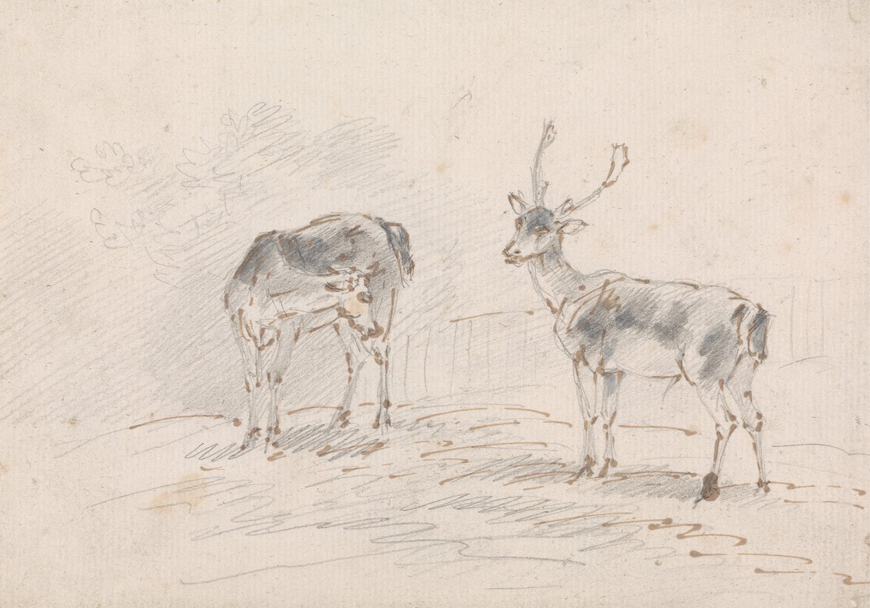 Doe a Buck od Sawrey Gilpin