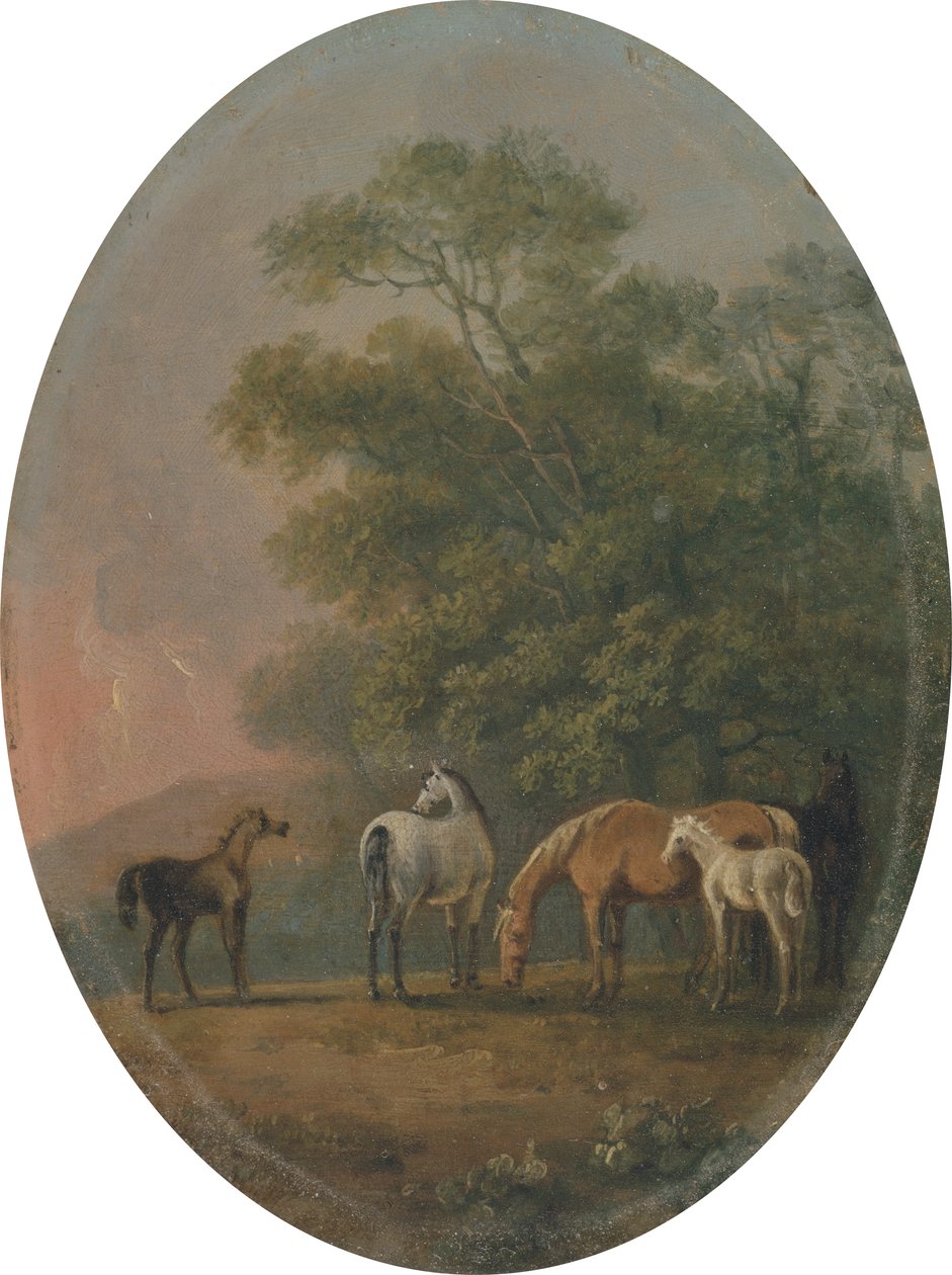 Mares and Foals, cca 1770-80 (olej na kovu) od Sawrey Gilpin