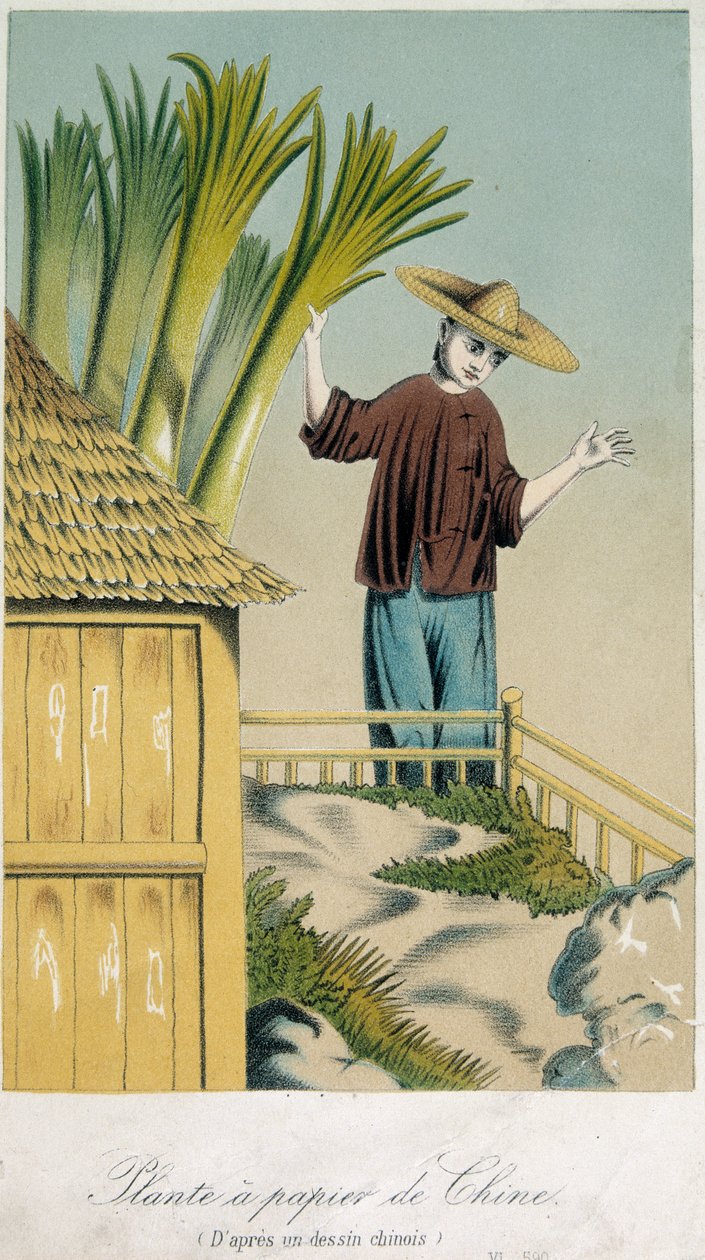 Čínská papírna (barva litho) od School Chinese