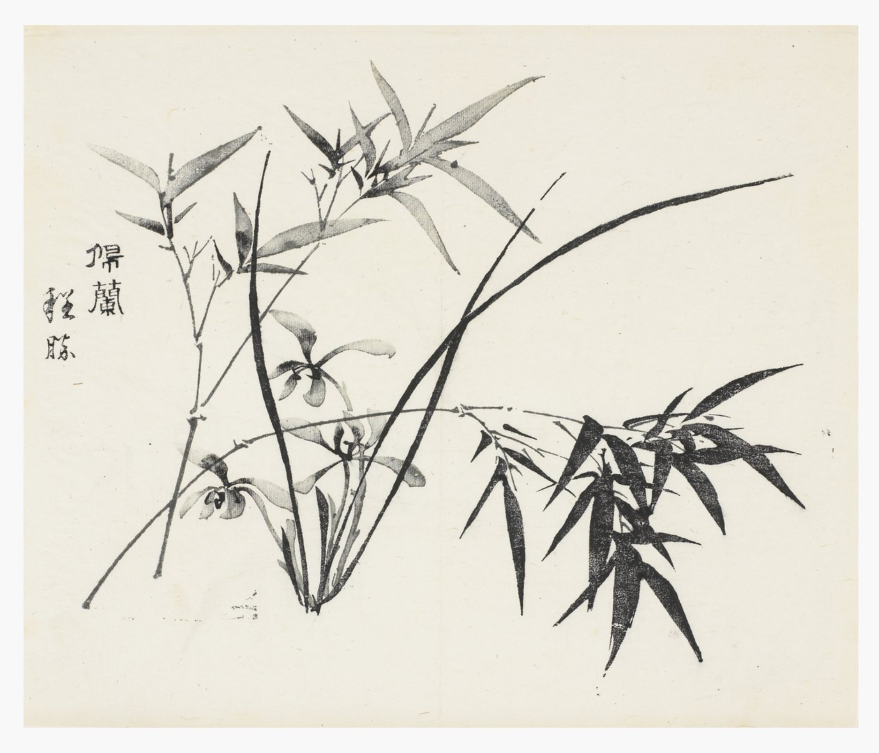 Deset bambusových seriálů od School Chinese