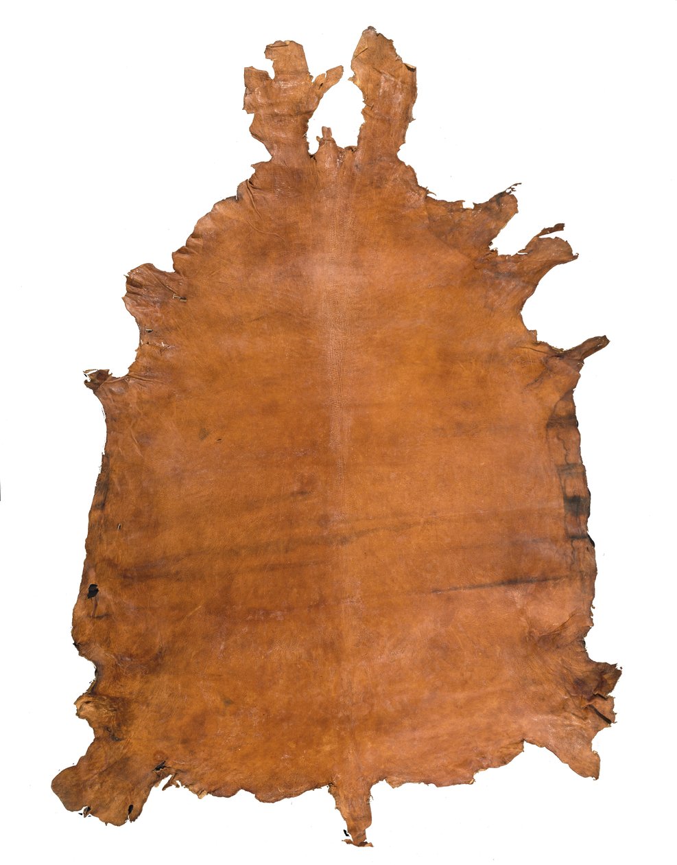 Zvířecí kůže, c. 1786 (kůže) od School Russian