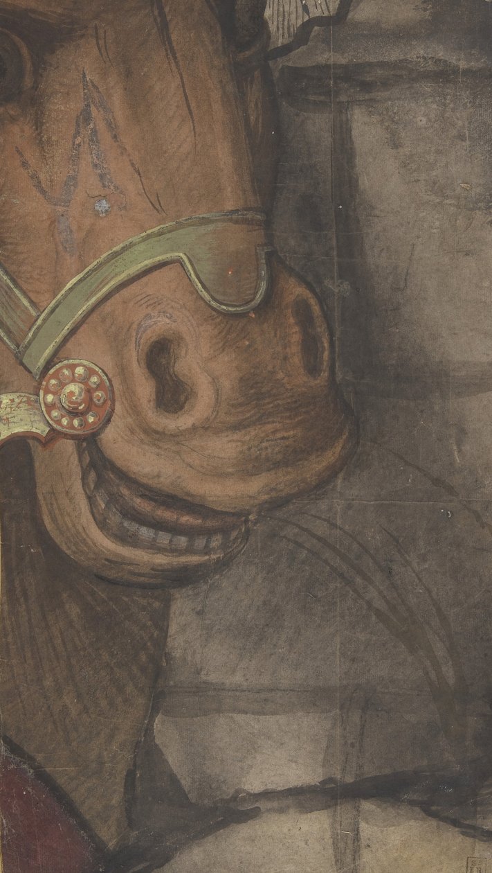 Koňská hlava, 1500-1550. od School of Raphael.