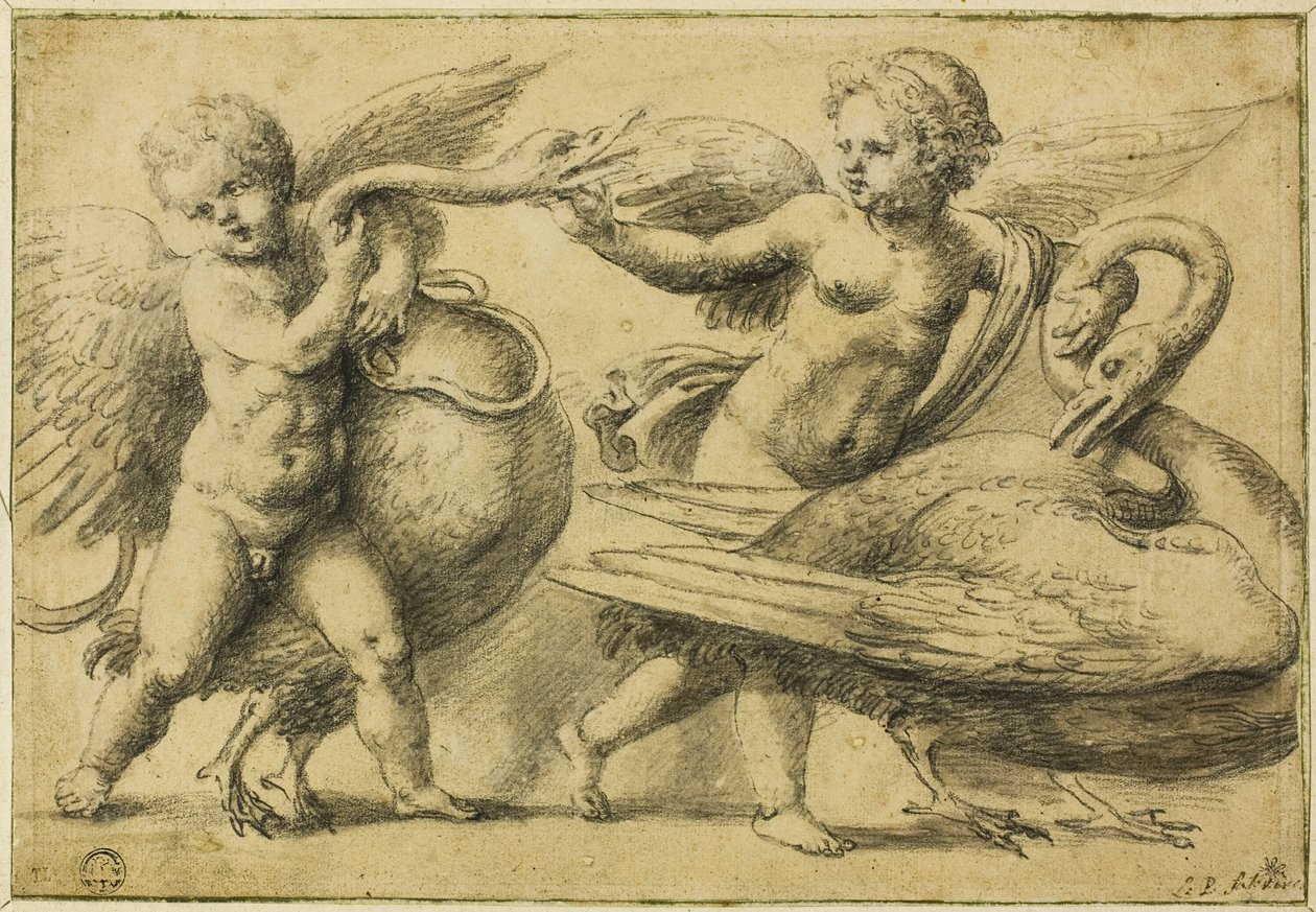 Putti si hraje s labutěmi od School of Raphael