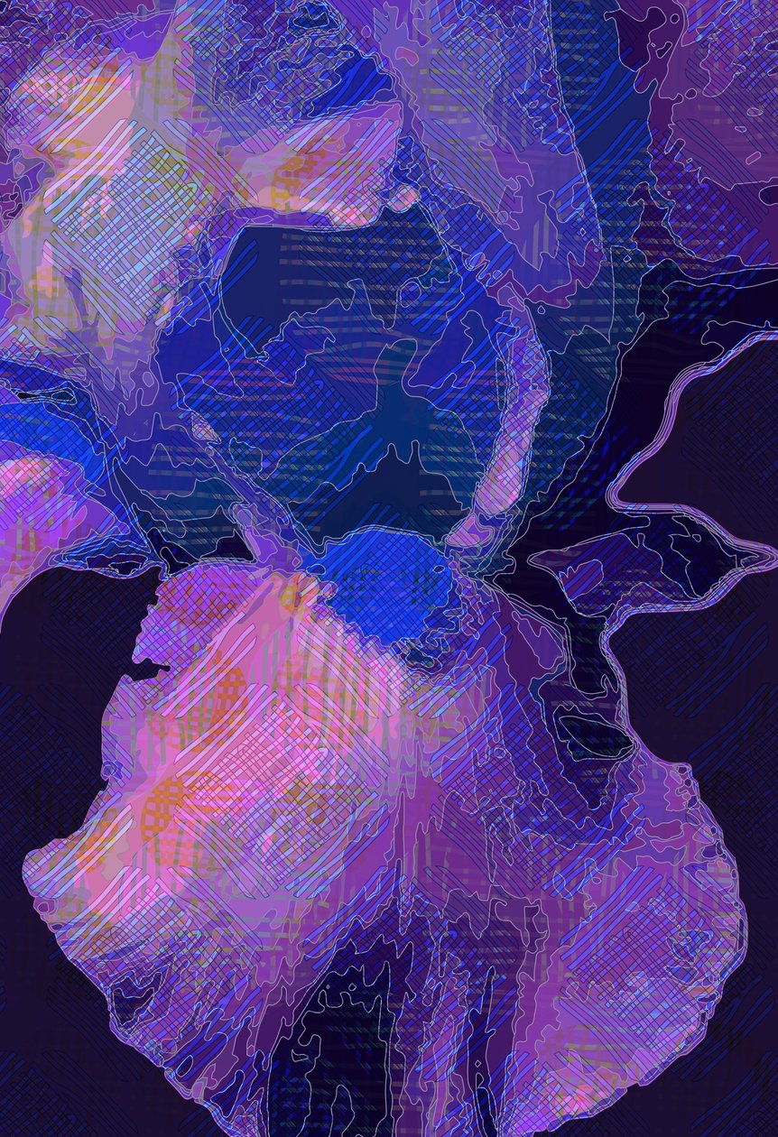 Blue Iris (digitální) od Scott J. Davis