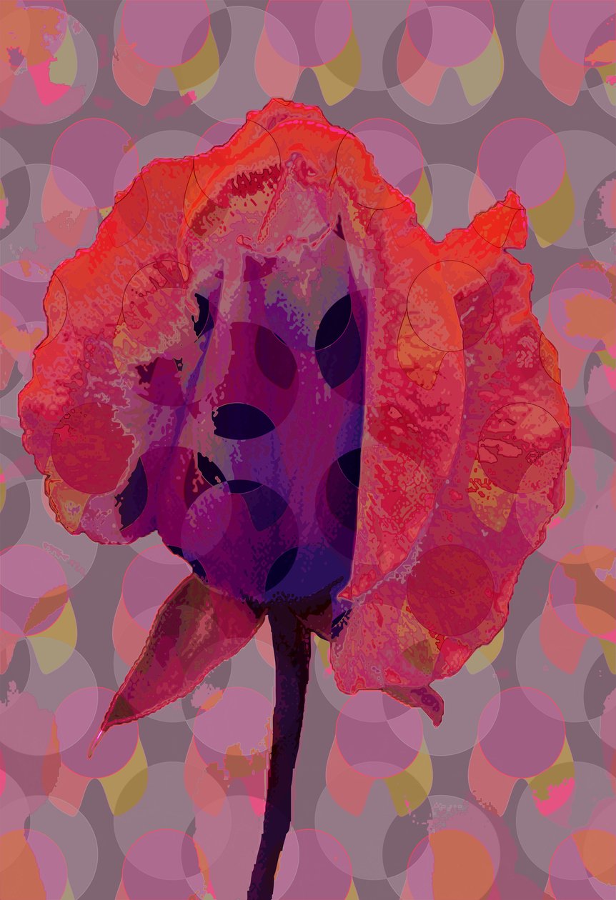 Tea Rose 3 (digitální) od Scott J. Davis