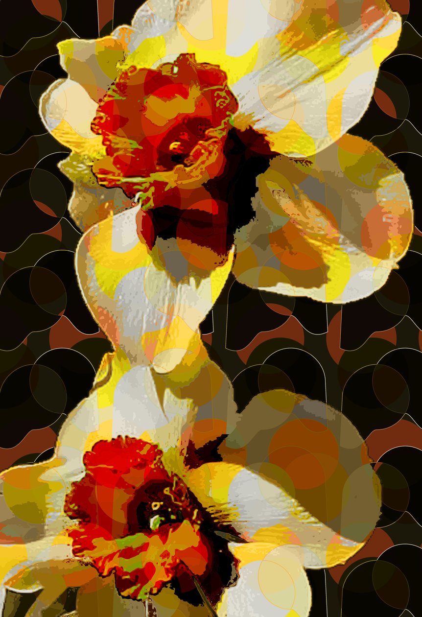 narcis (digitální) od Scott J. Davis