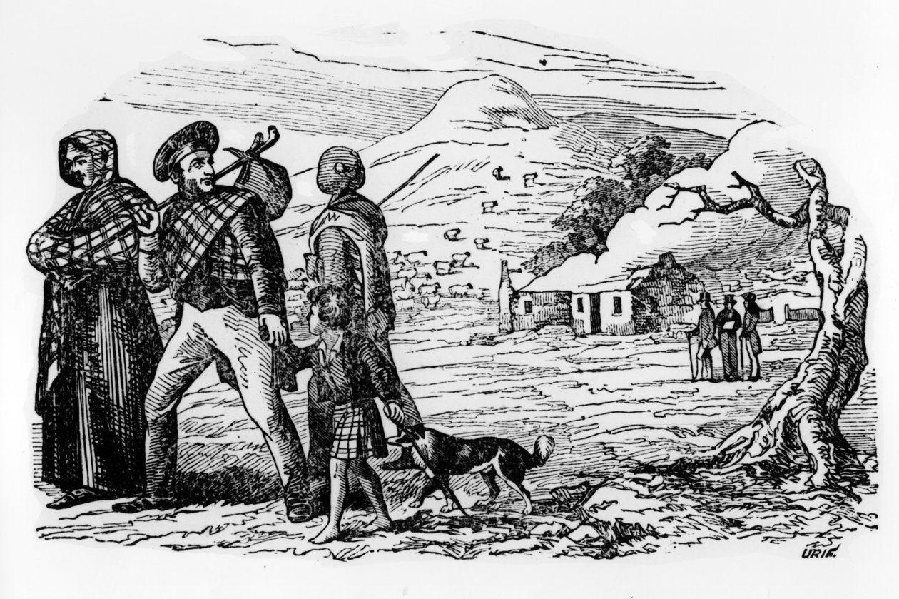 Skoti bez domova od Scottish School