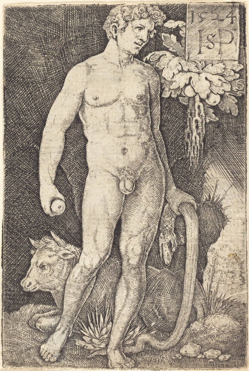 Adam stojící od Sebald Beham