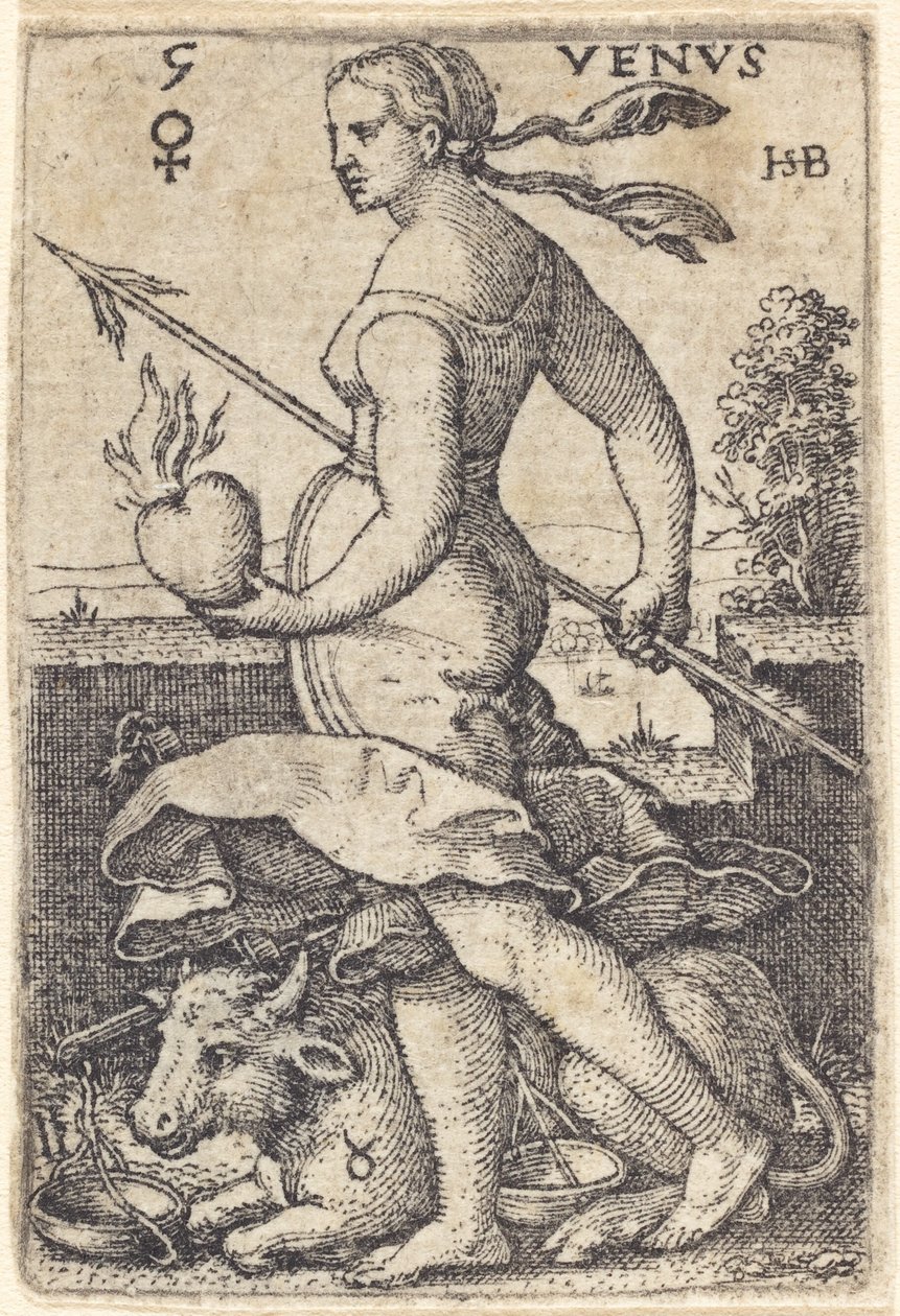 Venuše od Sebald Beham
