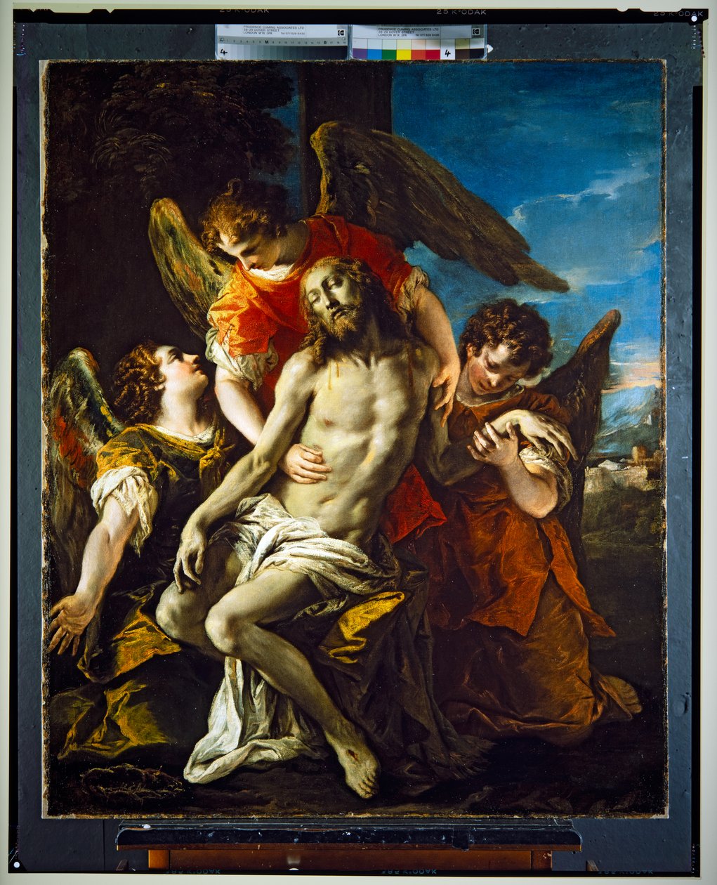 Pieta, nedatováno (olej na plátně) od Sebastiano (attr. to) Ricci