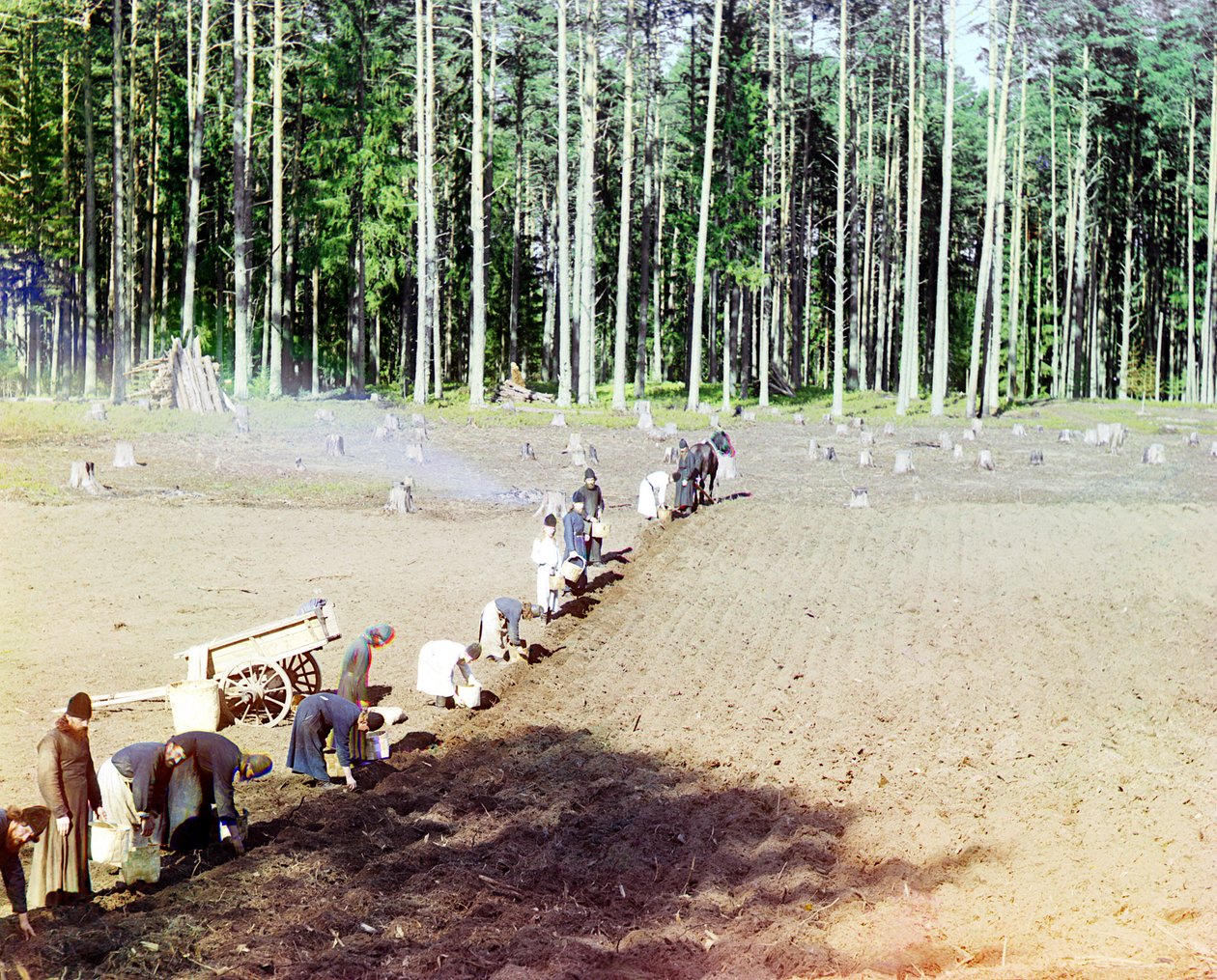 Mniši sázející brambory poblíž Getsemanského kláštera, řeka Volha, Ruská říše, 1910 od Sergey Prokudin Gorsky