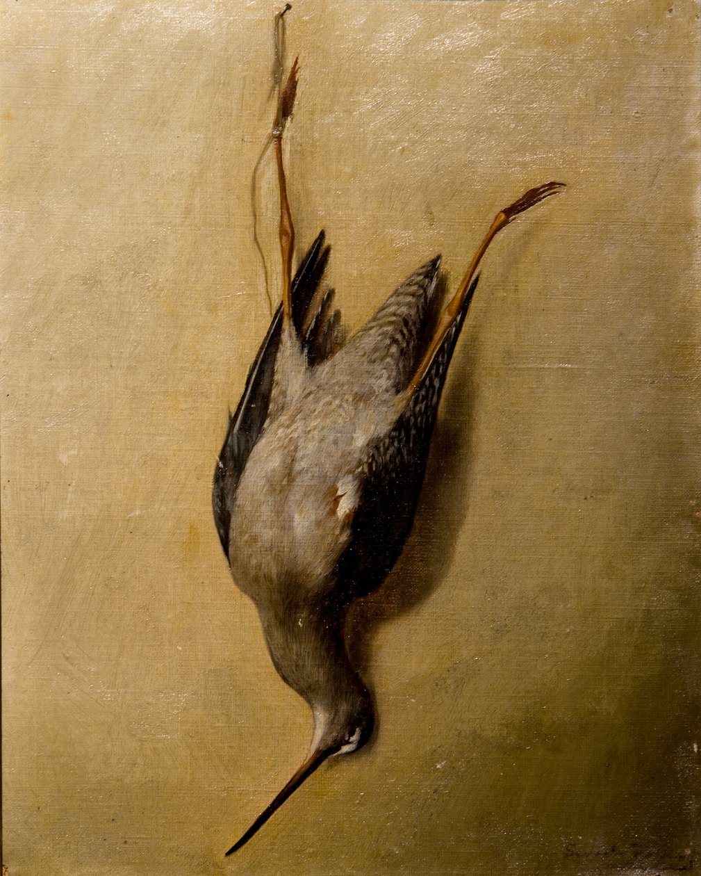 Stálý život od Severin Falkman