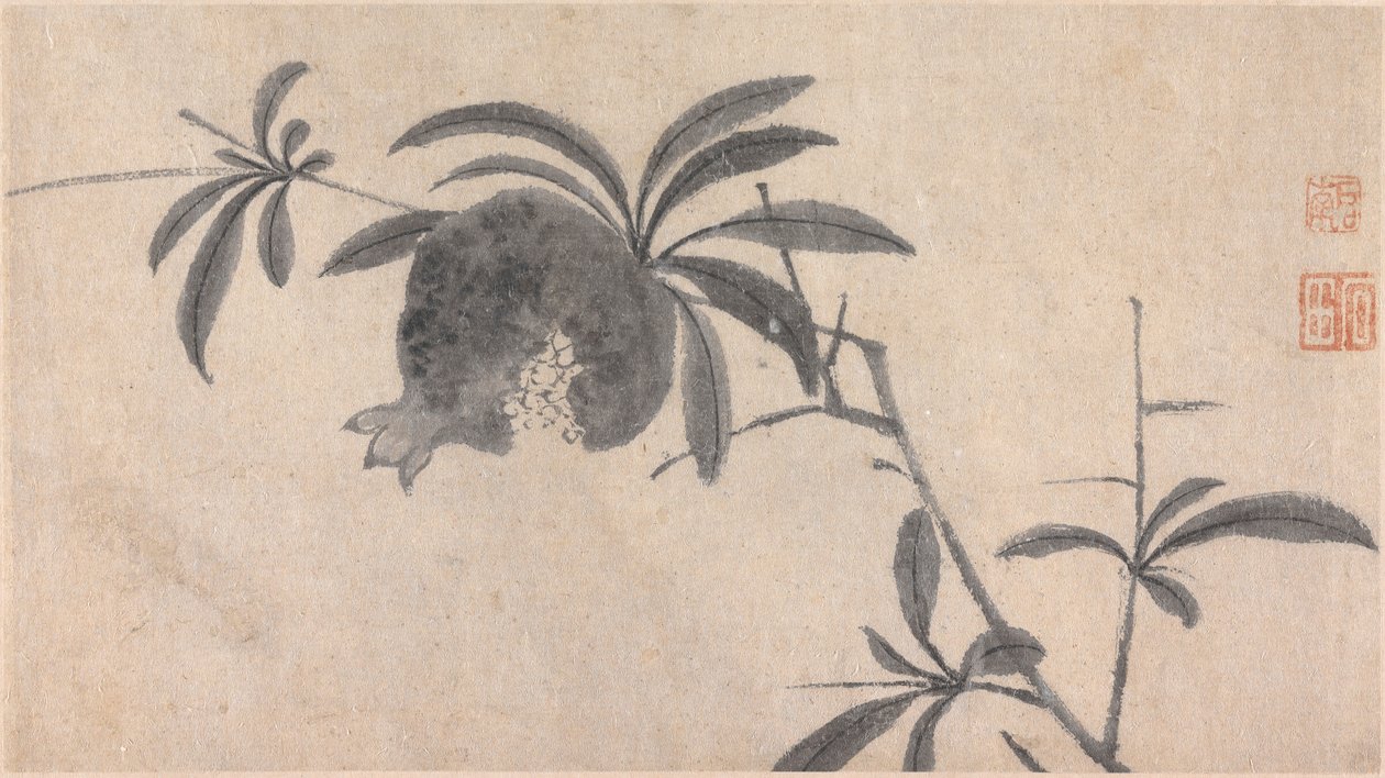 Ovoce od Shen Zhou