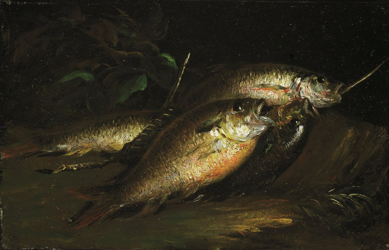 Ryba, 1842. od Shepard Alonzo Mount