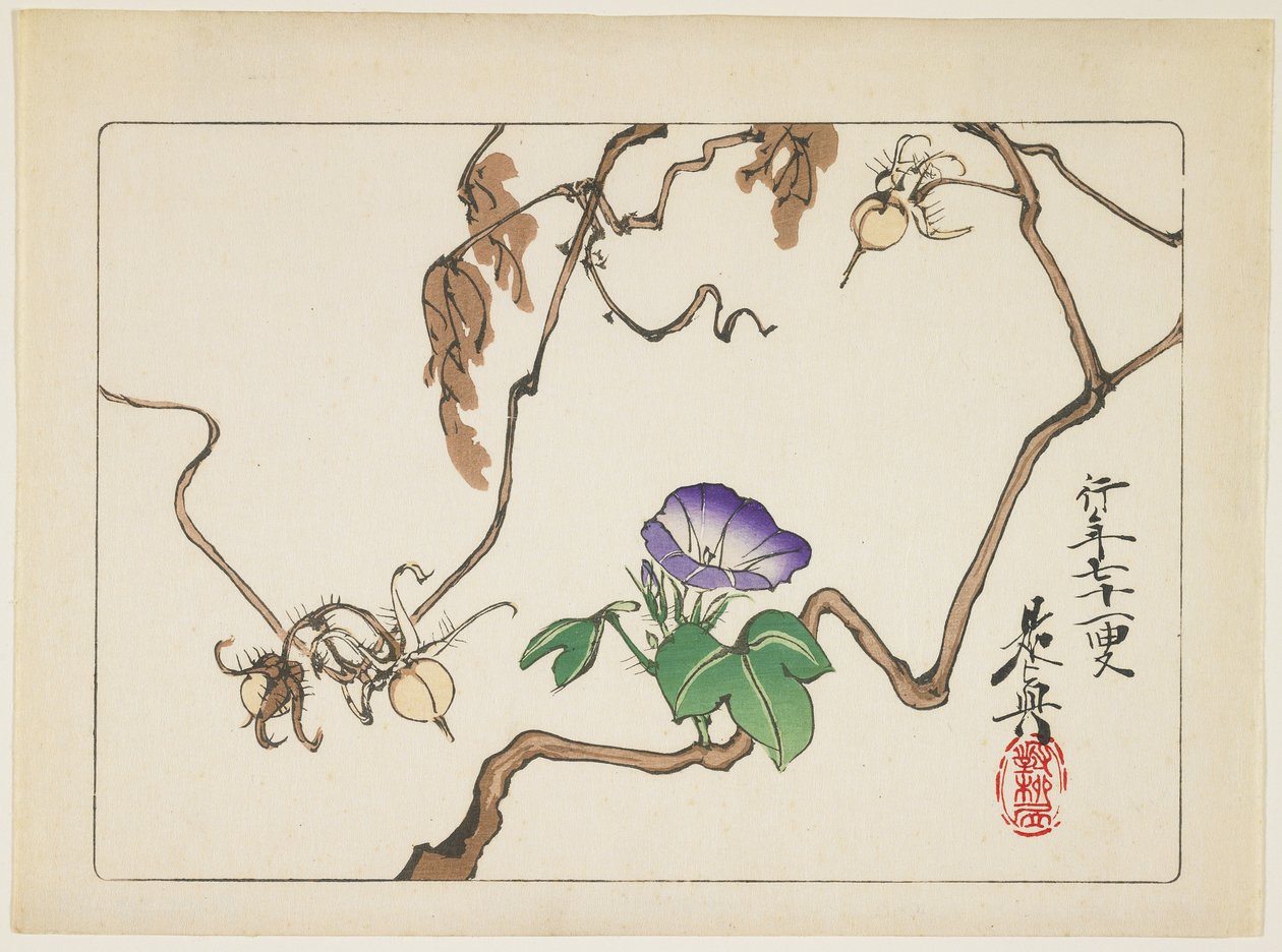 Vine and Seeds of Morning Glory, 1877 od Shibata Zeshin