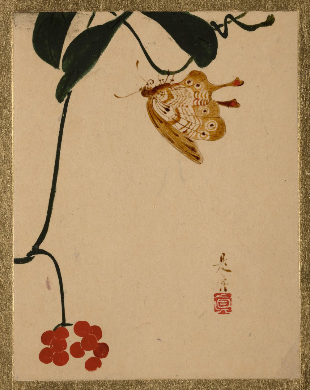 Rostlina červené bobule a motýl. od Shibata Zeshin