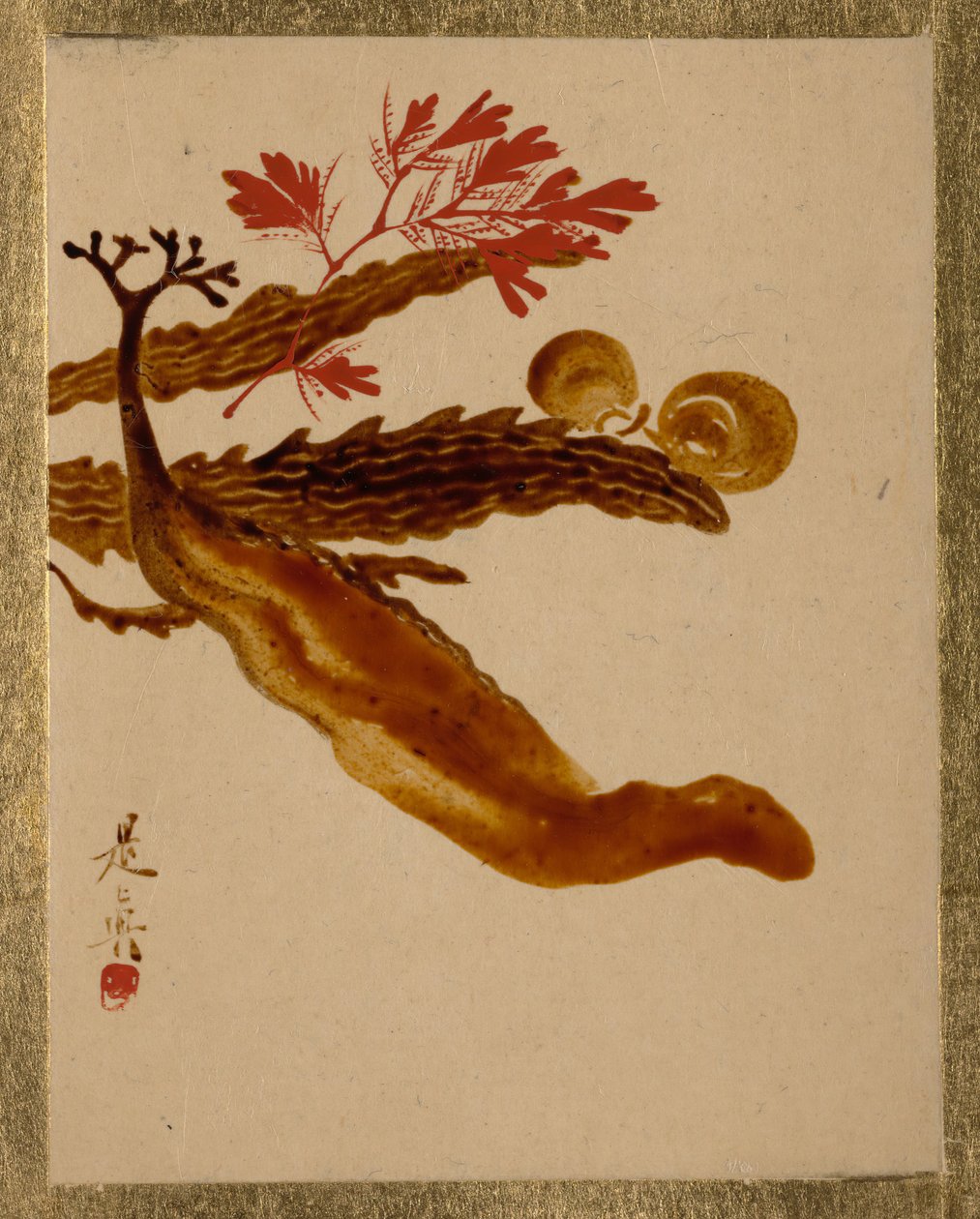Mořská řasa. od Shibata Zeshin
