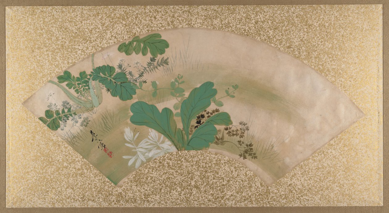 Různé rostliny a tráva, konec 19. století. od Shibata Zeshin