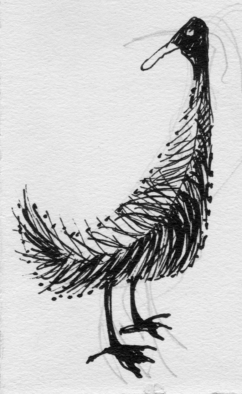 Bird, c1950. od Shirley Markham