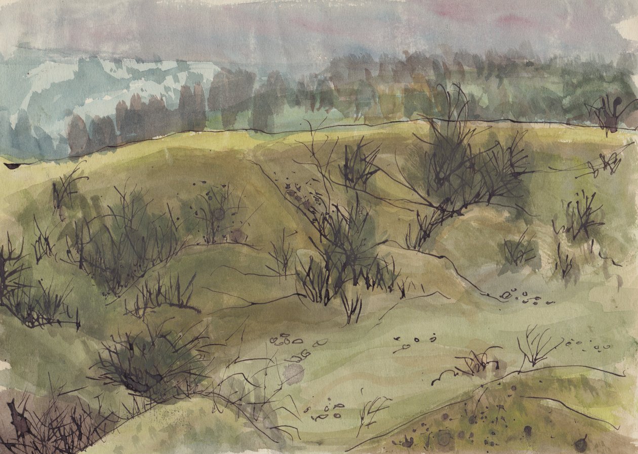 Krajina s keři, Itálie, c1950. od Shirley Markham