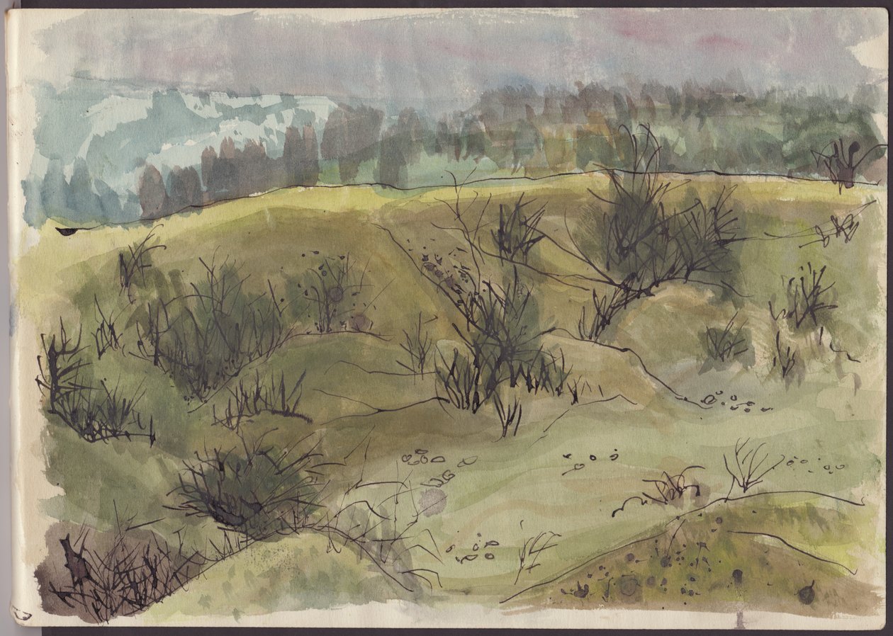 Krajina s keři, Itálie, c1950. od Shirley Markham