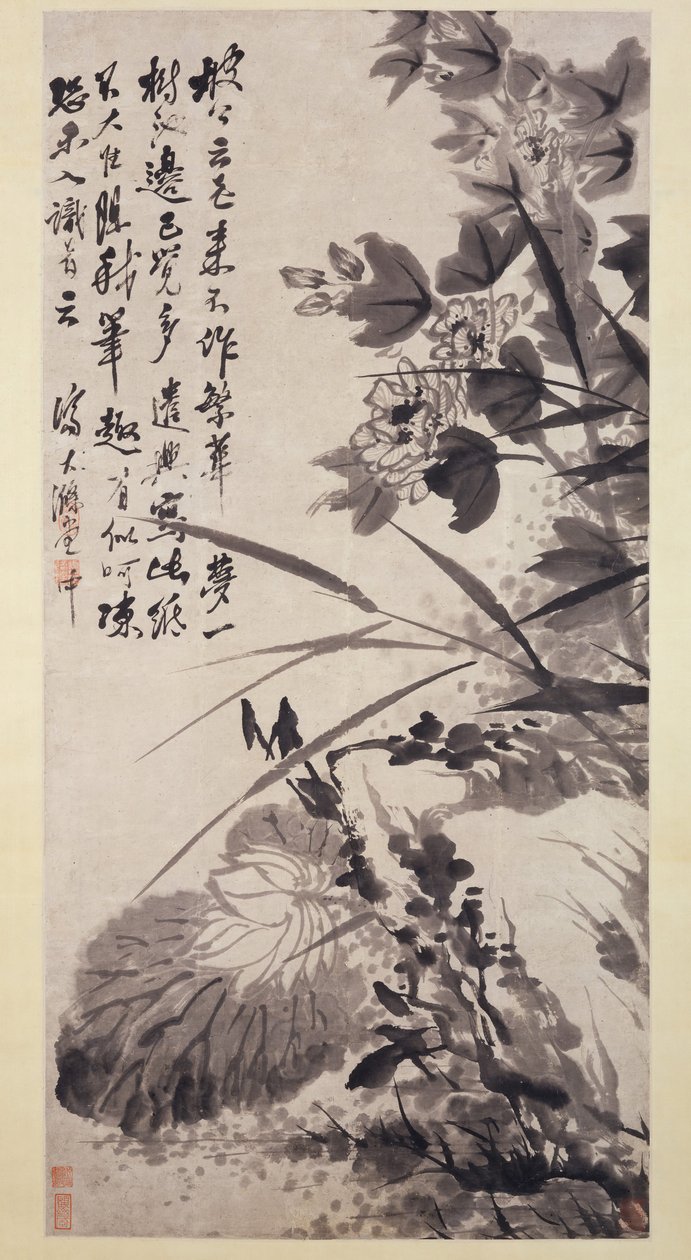 Hibiscus, Lotus a Rock, ca. 1705-7. od Shitao