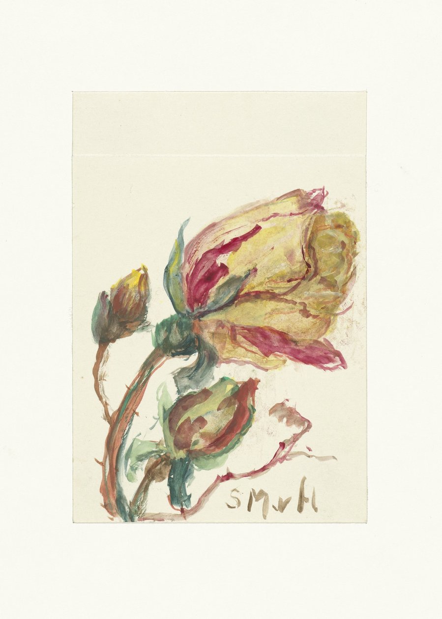 Roos od Sientje Mesdag van Houten