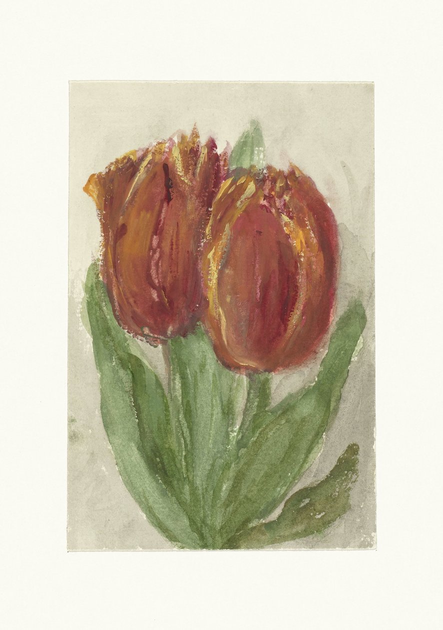 Dva červené tulipány od Sientje Mesdag van Houten