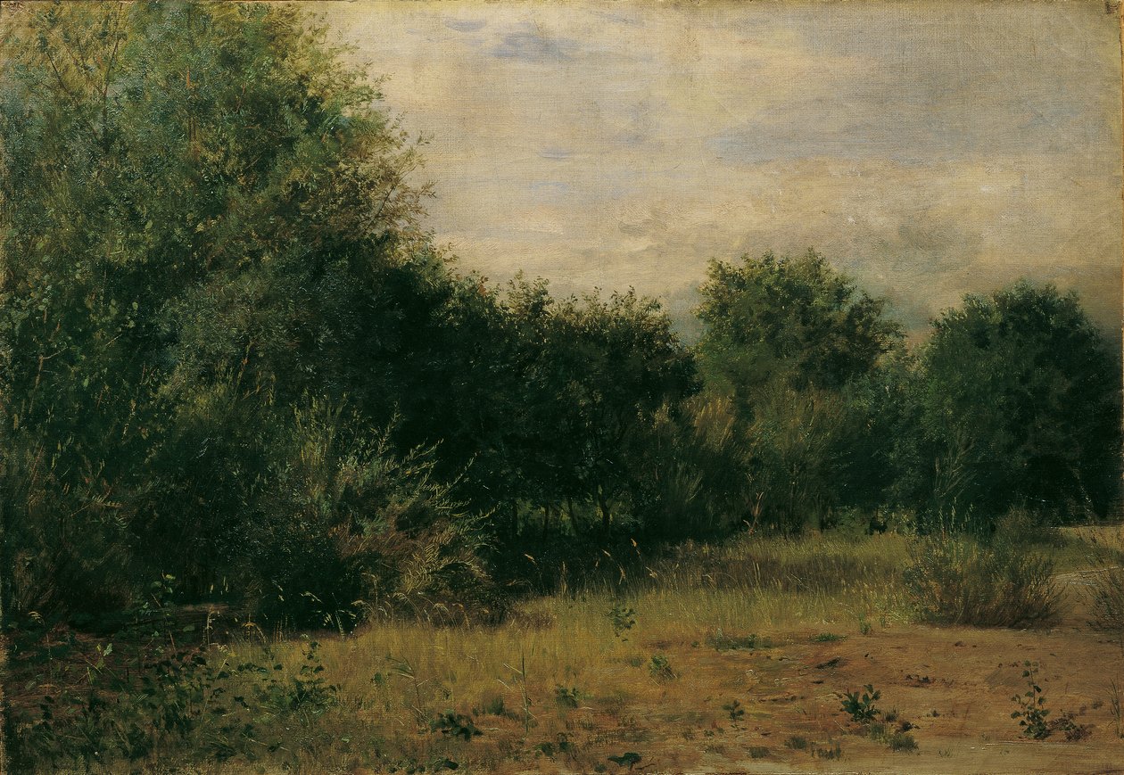 krajinářská studie od Sigmund L