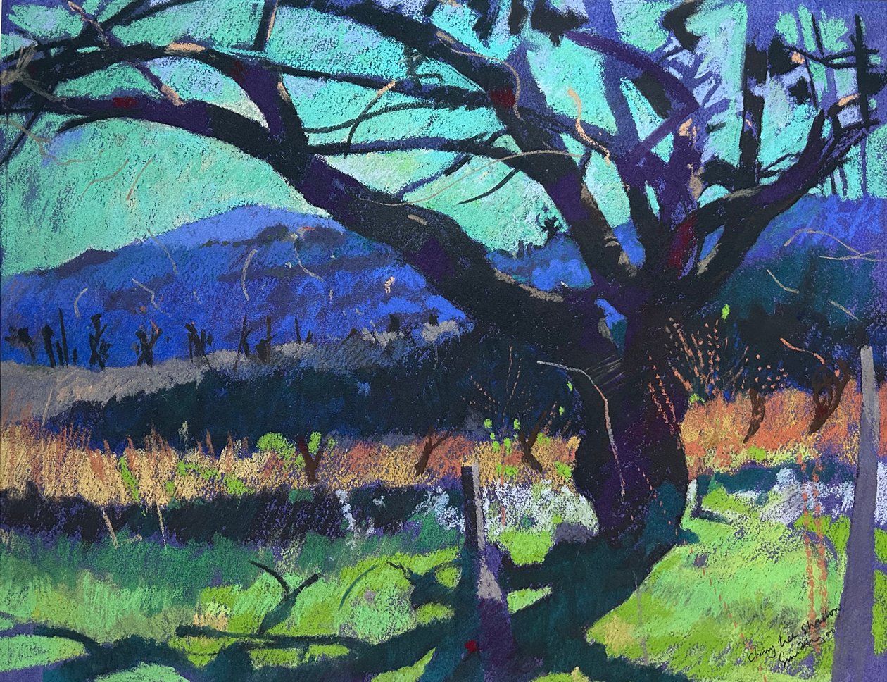 Stín třešně, 2000 (pastel) od Simon Fletcher