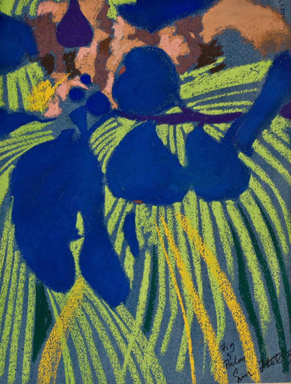 Fík a palma (pastel na papíře) od Simon Fletcher
