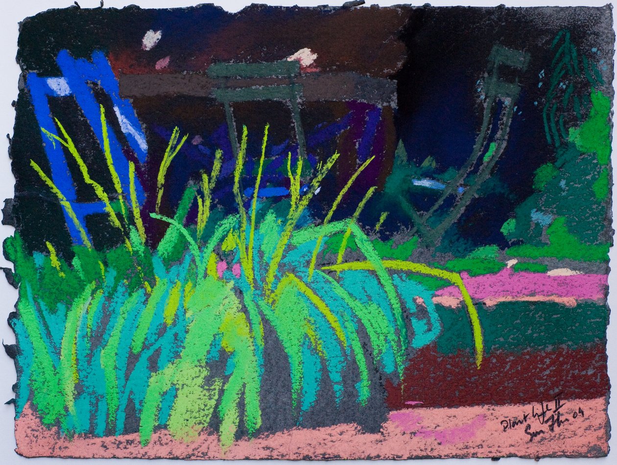 Život rostlin (pastel na papíře) od Simon Fletcher