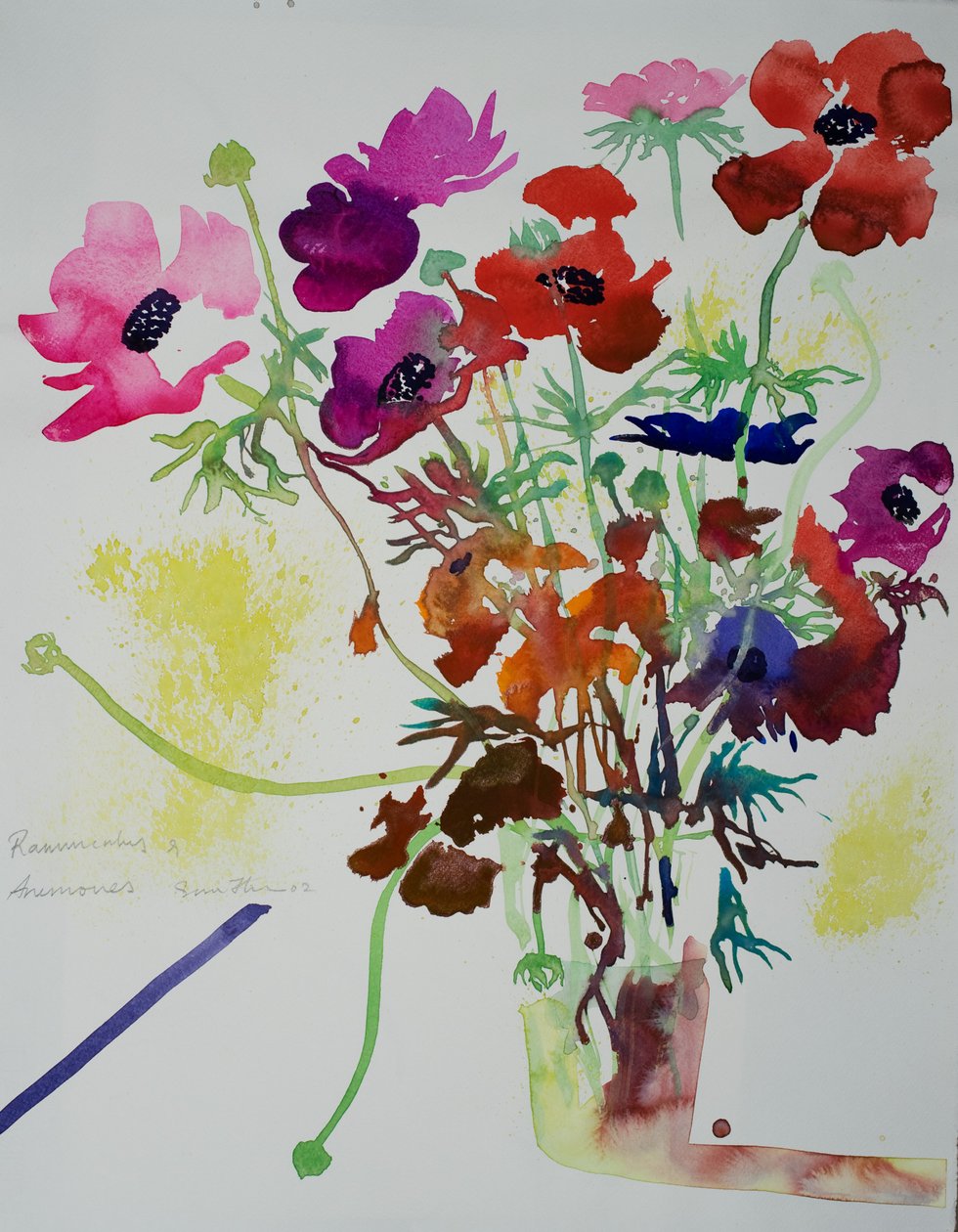 Ranunculus  anemones, 2010 (akvarel) od Simon Fletcher