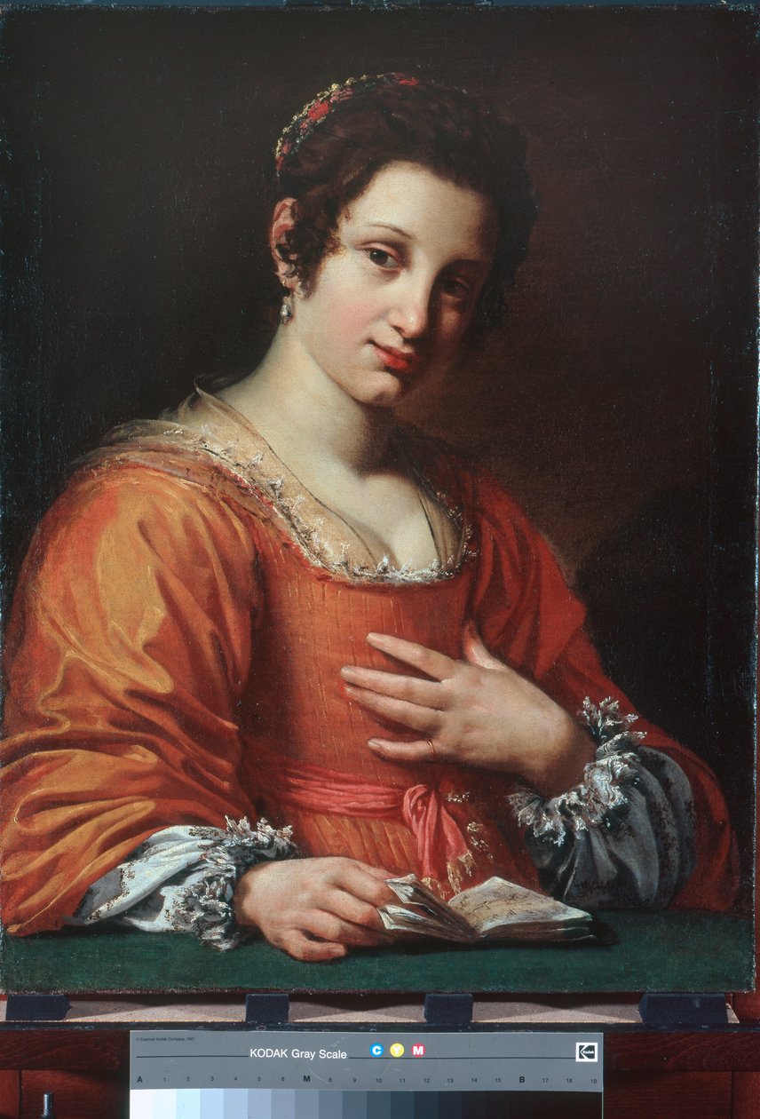 Portrét mladé dámy od Simon Vouet