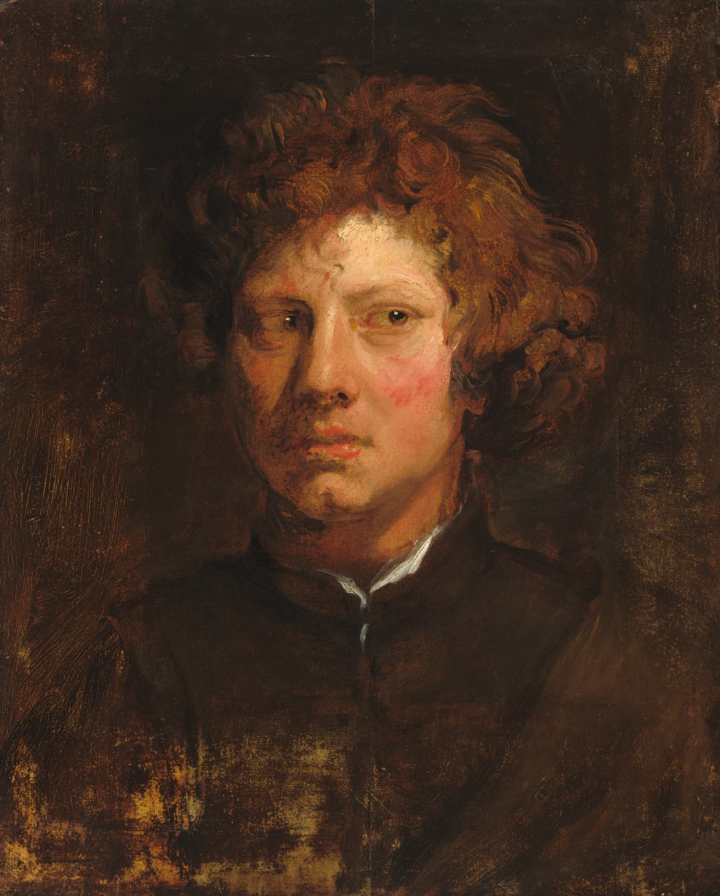 Hlava mladého muže od Sir Anthony van Dyck