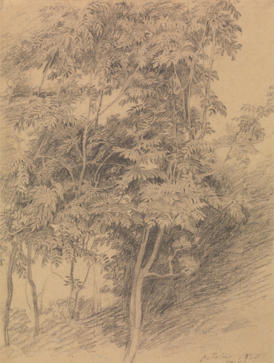 Stromová studie od Sir David Wilkie