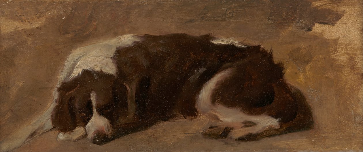 Španěl vleže od Sir Edwin Henry Landseer