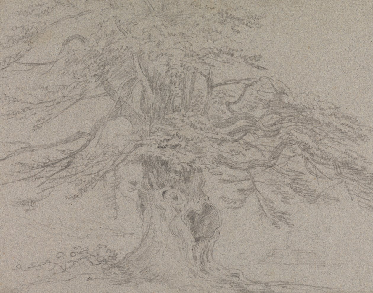 Stromová studie od Sir George Howland Beaumont seventh Baronet